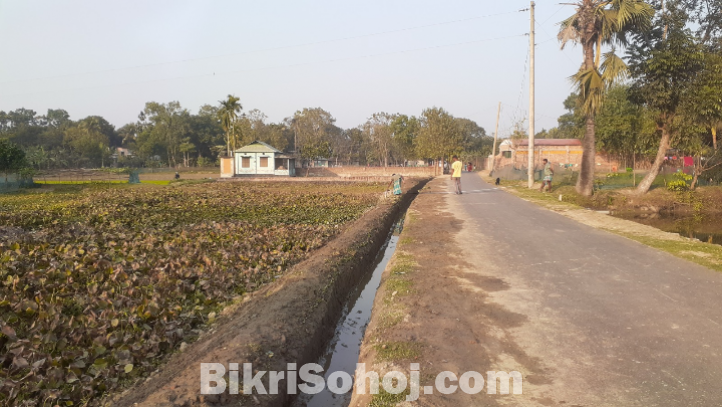 ময়মনসিংহ মুক্তাগাশা    ৪৩ শতাংশ  জমি  বিক্রয়  হবে